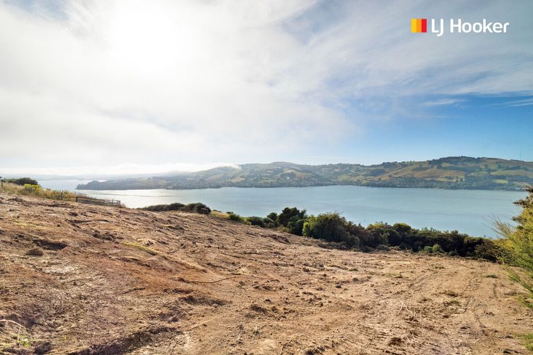 Photo of property in 65 Kakapo Street, Saint Leonards, Dunedin, 9022