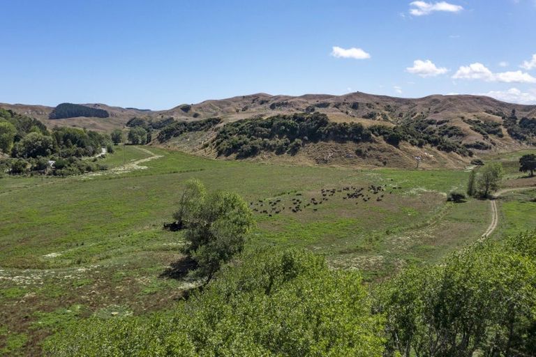 Photo of property in 429 Te Akau South Road, Te Akau, Ngaruawahia, 3793