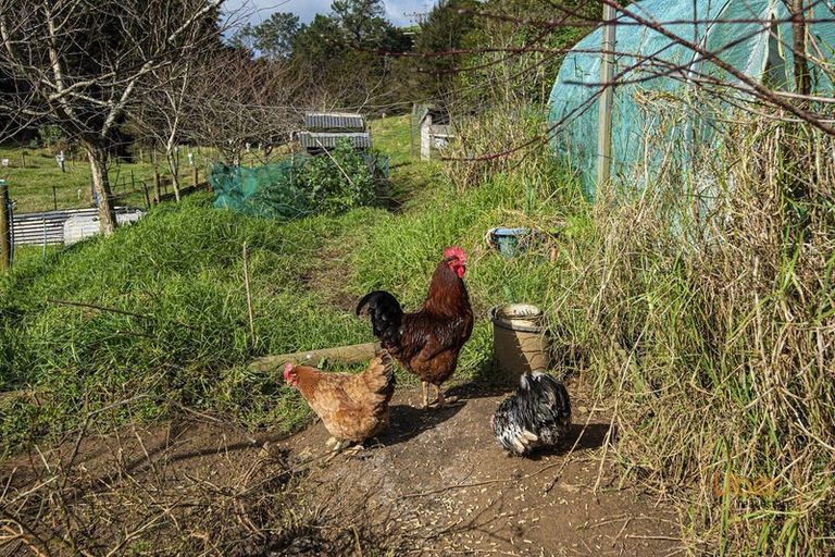 Photo of property in 74 Waiparera Road, Parua Bay, 0192