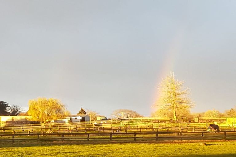 Photo of property in 32 Banks Road, Matamata, 3473