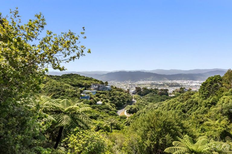 Photo of property in 60 Maungaraki Road, Korokoro, Lower Hutt, 5012