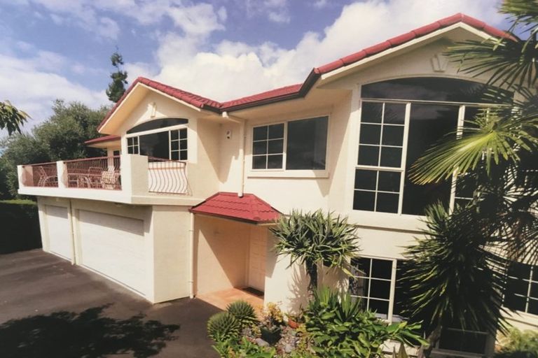 Photo of property in 19 Stella Place, Chartwell, Hamilton, 3210