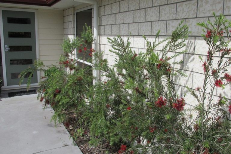 Photo of property in 469e Minden Road, Minden, Tauranga, 3176