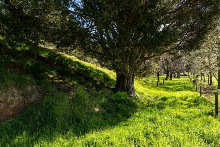 Photo of property in 15 Toots Drive, Kawakawa, 0282