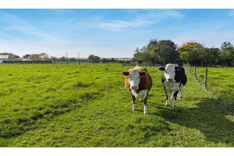 Photo of property in 91 Foley Road, Levels, Timaru, 7975