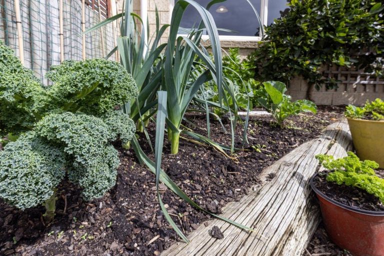 Photo of property in 29 Avion Terrace, Raumati Beach, Paraparaumu, 5032