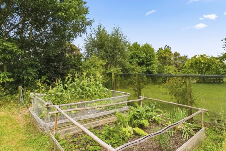 Photo of property in 19 Hadfield Road, Peka Peka, Waikanae, 5391