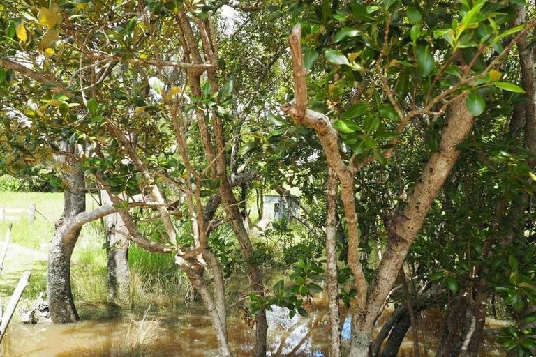 Photo of property in 65 Curtis Road, Rawene, Kaikohe, 0473