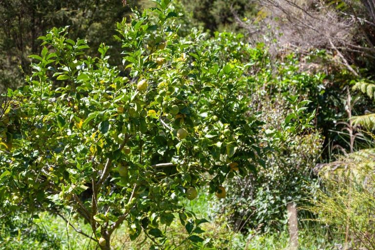 Photo of property in 896a Hikuai Settlement Road, Pauanui, Hikuai, 3579