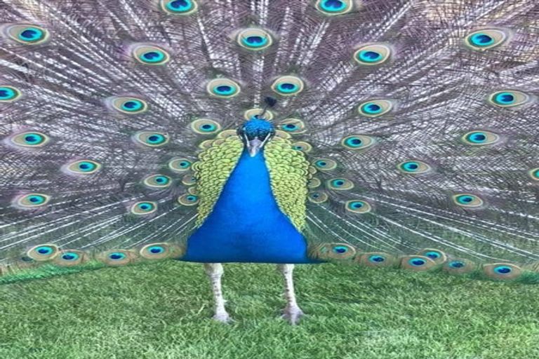 Photo of property in 25e Walkers Road, Lyttelton, 8082