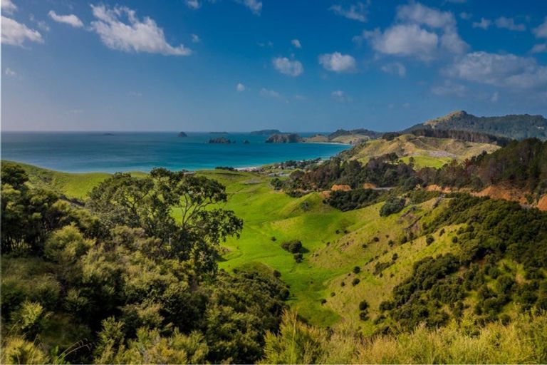 Photo of property in 2 Matapaua Bay Road, Opito Bay, Whitianga, 3592