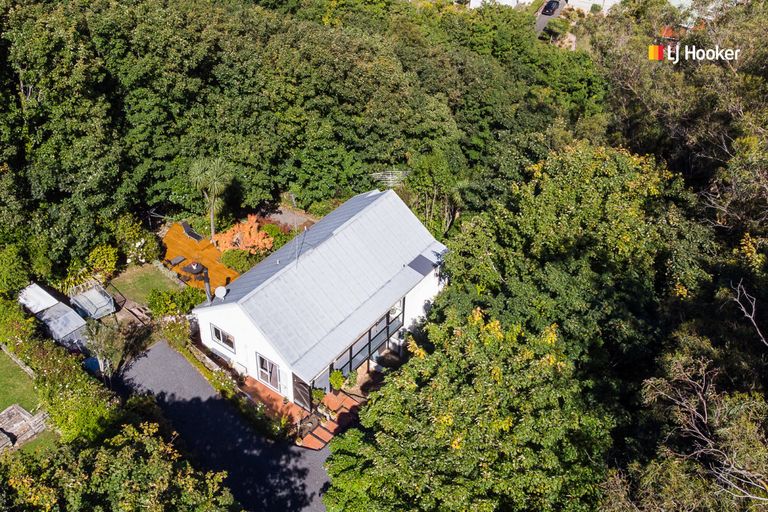 Photo of property in 55b Every Street, Andersons Bay, Dunedin, 9013