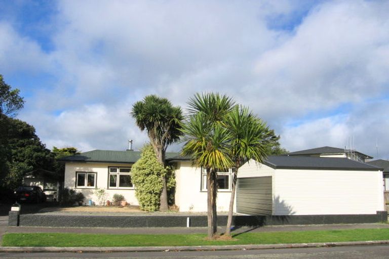 Photo of property in 57 Miro Street, Takaro, Palmerston North, 4410