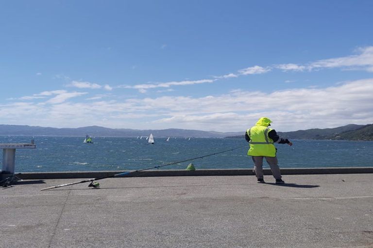 Photo of property in 2/249 Muritai Road, Eastbourne, Lower Hutt, 5013