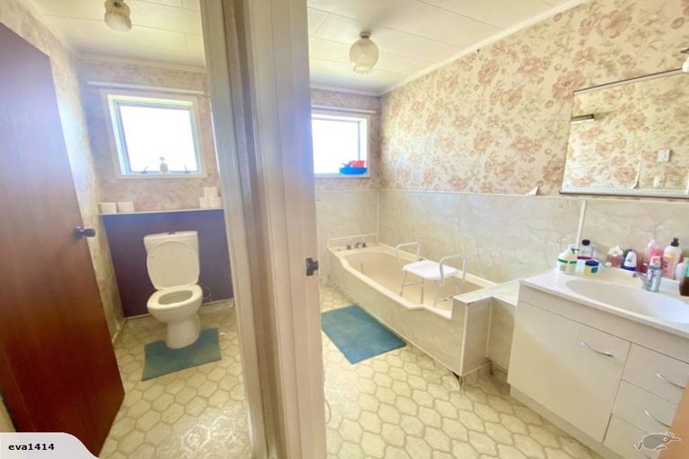 Photo of property in 53 Featherston Street, Levin, 5510