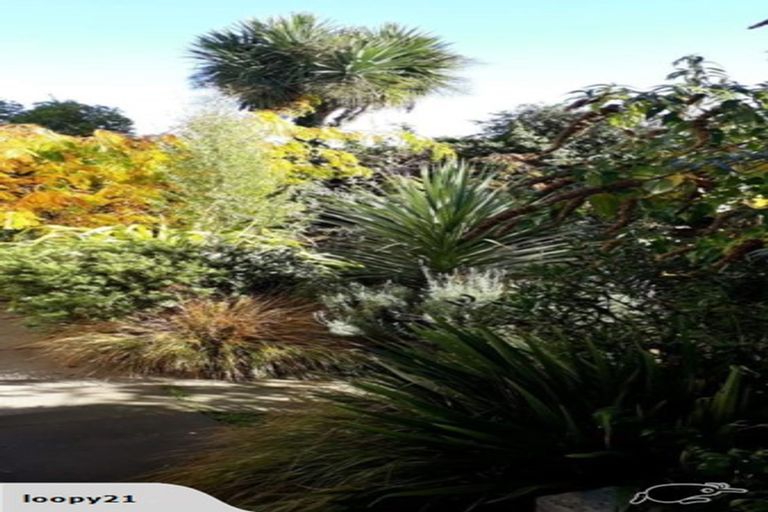 Photo of property in 29 Wilson Street, Seaview, Timaru, 7910