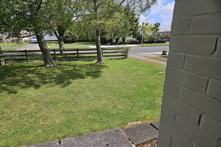 Photo of property in 41 Ihle Street, Terrace End, Palmerston North, 4410