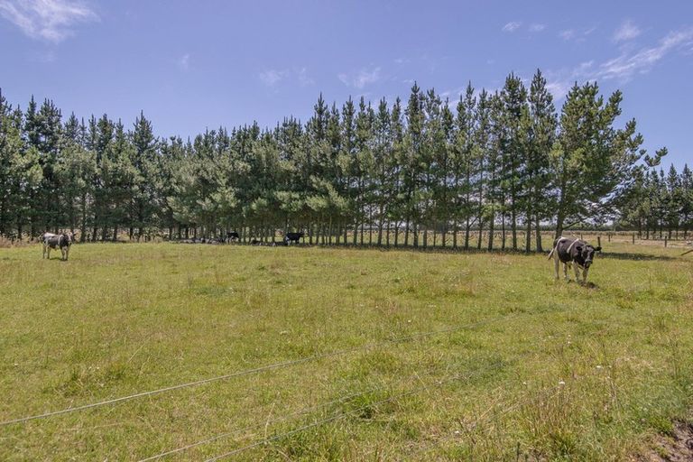 Photo of property in 215 Harmans Road, Leeston, 7682