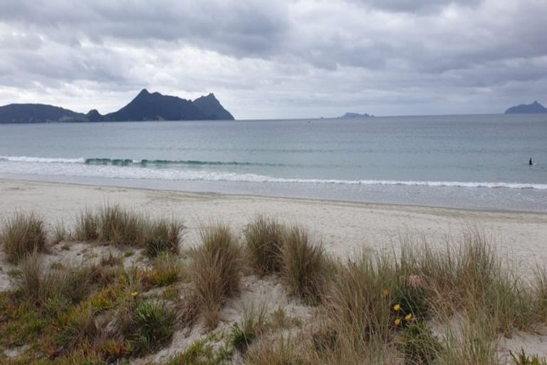 Photo of property in 16 Flax Street, Ruakaka, 0116