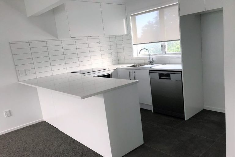 Photo of property in 8 George Street, Mount Eden, Auckland, 1024