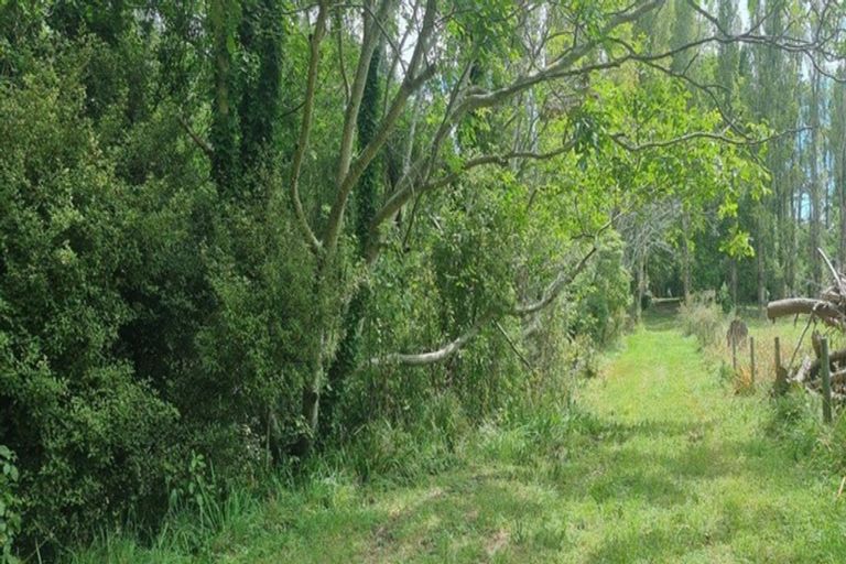 Photo of property in 47 Te Whanga Road, Levin, 5572