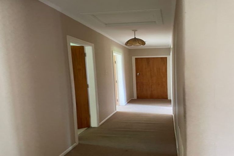 Photo of property in 19 Berkley Avenue, Hillcrest, Hamilton, 3216