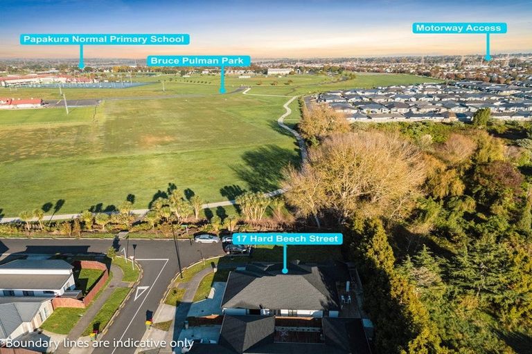 Photo of property in 17 Hard Beech Street, Takanini, 2110