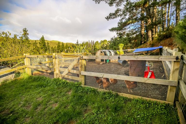 Photo of property in 56c Bush View Drive, Waitetuna, Raglan, 3295