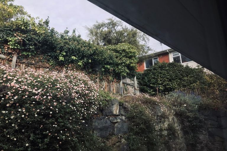 Photo of property in 38b Evans Street, Opoho, Dunedin, 9010