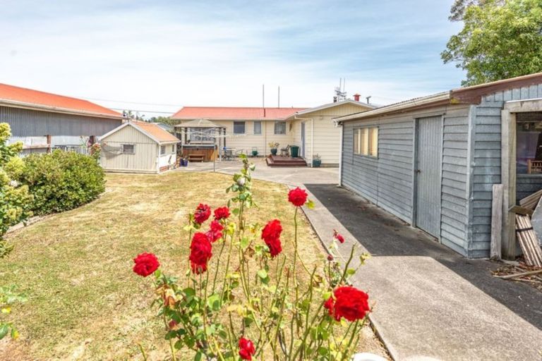 Photo of property in 25 Alexandra Street, Marton, 4710