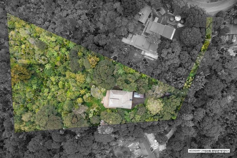 Photo of property in 51 Opanuku Road, Henderson Valley, Auckland, 0612