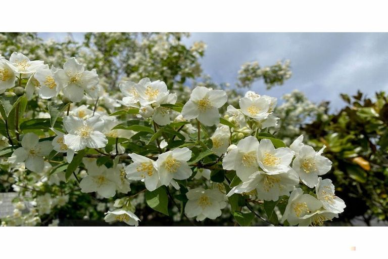 Photo of property in 35 Connolly Street, Geraldine, 7930