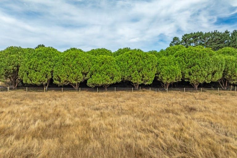 Photo of property in 78 Donnelly Road, Foxton, 4891