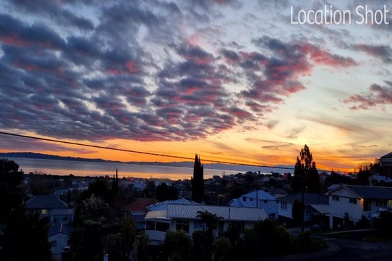 Photo of property in 306 Hill Street, Thames, 3500