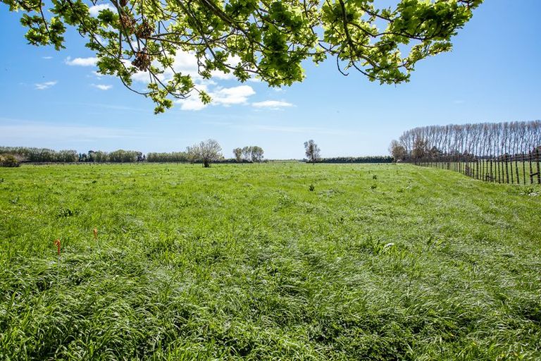 Photo of property in 116a Thornton Road, Thornton, Whakatane, 3194