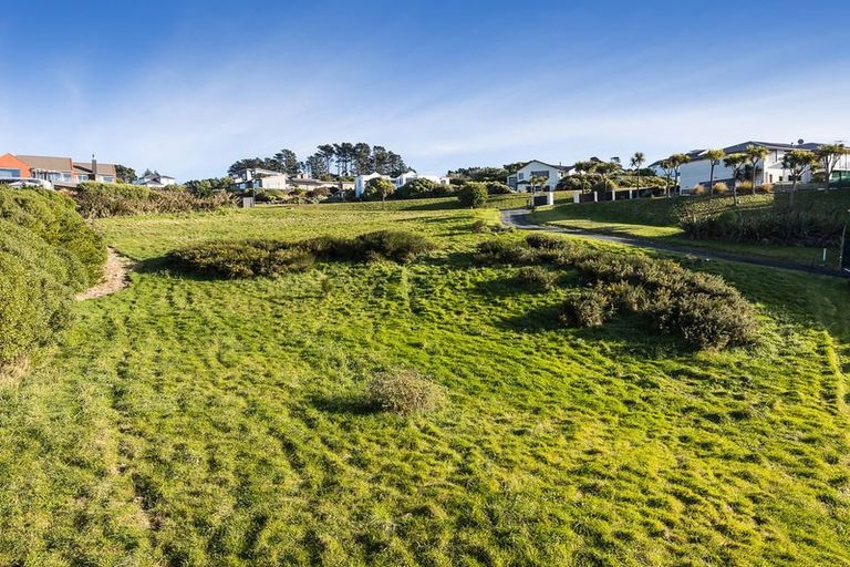 Photo of property in 11 Highgrove, Saint Clair, Dunedin, 9012