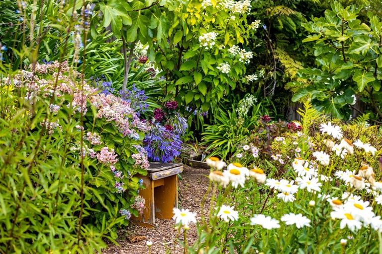 Photo of property in 16 Newstead Avenue, Browns Bay, Auckland, 0632