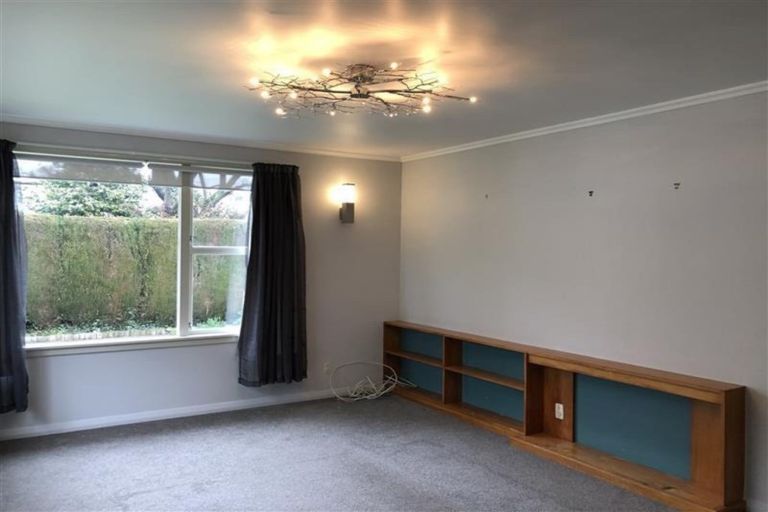 Photo of property in 38a Mclauchlan Street, Springlands, Blenheim, 7201