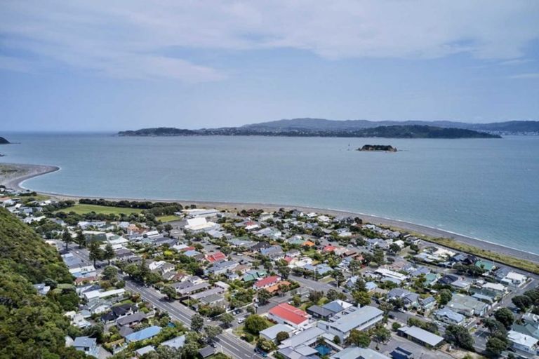 Photo of property in 3 Mackenzie Road, Eastbourne, Lower Hutt, 5013