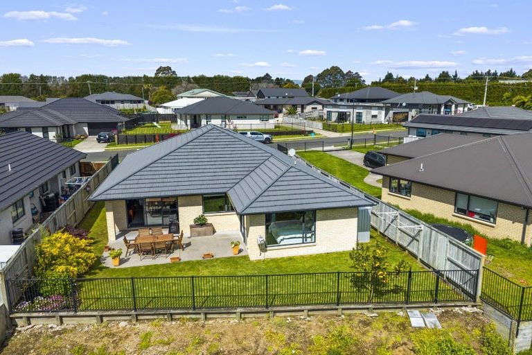Photo of property in 71 Tynan Street, Te Puke, 3119