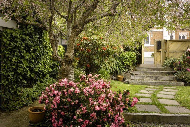 Photo of property in 14 Highgate, Belleknowes, Dunedin, 9011