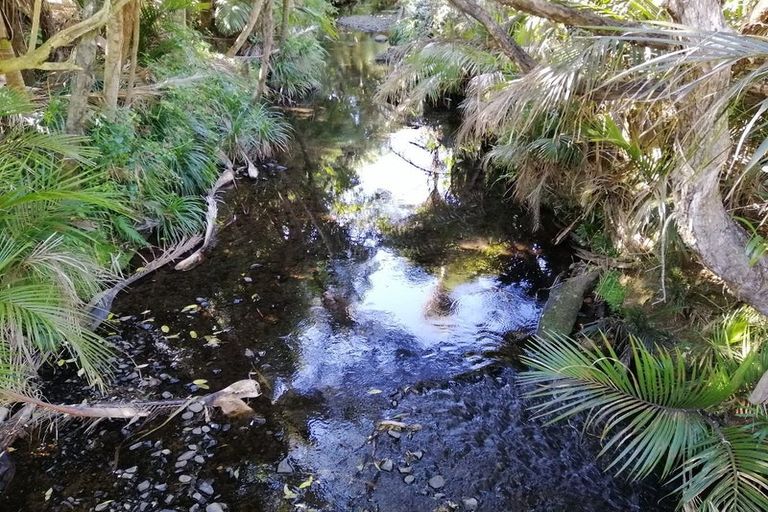 Photo of property in 10-12 Glenesk Road, Piha, New Lynn, 0772