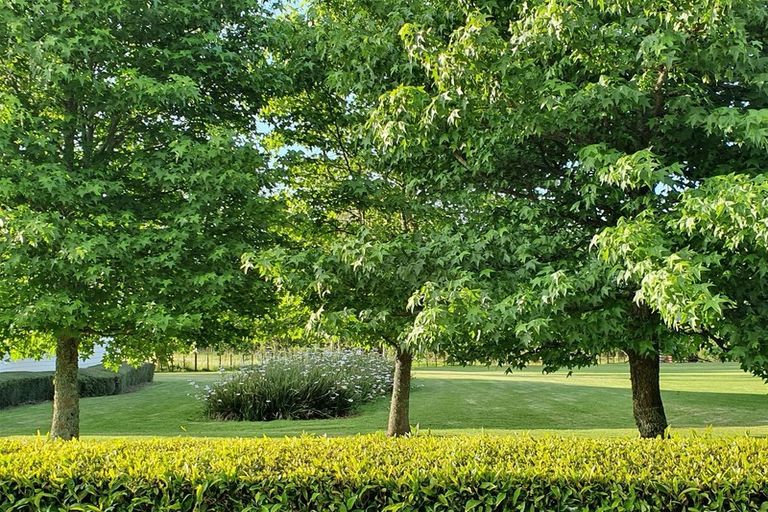 Photo of property in 15 Waikuku Road, Waimate North, Kaikohe, 0472