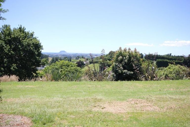 Photo of property in 229e Crawford Road, Minden, Tauranga, 3171