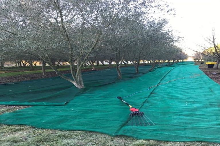 Photo of property in 466 Jeffersons Line, Marton, 4788