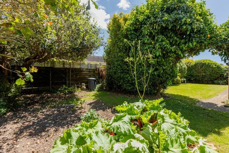 Photo of property in 43a Hibiscus Avenue, Mount Maunganui, 3116