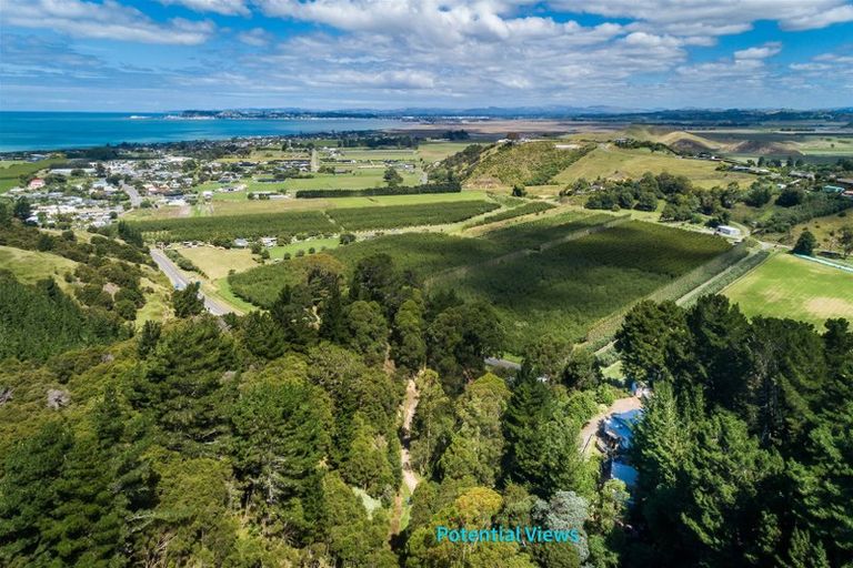 Photo of property in 84 Hill Road, Bay View, Napier, 4182