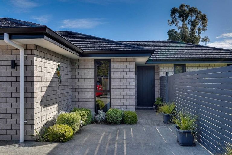 Photo of property in 46 Grigg Drive, Witherlea, Blenheim, 7201