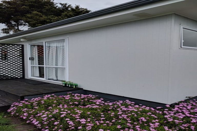 Photo of property in 7 Saxton Street, Levin, 5510