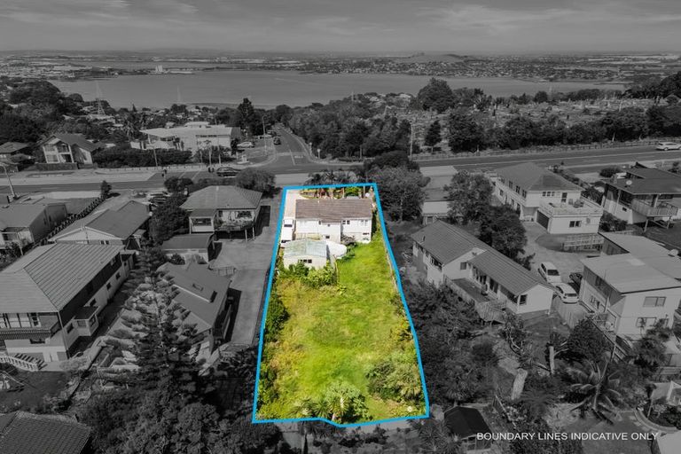 Photo of property in 255 Hillsborough Road, Hillsborough, Auckland, 1042